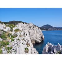 ☝︎白崎海洋公園