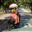 タイ
アユタヤ近郊
横断歩道を渡る象さん