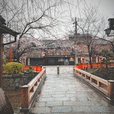 祇園白川巽橋
後3日程で桜は満開で人ももう少し多く成ると思います。突き当たりの横の道は新橋通りです。僕は人が居ない祇園白川を楽しみました。

#サント船長の写真 #全国橋巡り　#京都