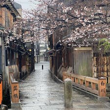祇園白川巽橋
2021年3月21日雨の祇園白川の桜咲く頃ですが、今はコロナ禍で見て下さい、猫の子一匹居ないとは此の事ですね、突き当たりは京都のメイン通りの四条です、此の道は「切りどうし」ですね♪
祇園でも屈指の観光地です。
それがこんな光景です。

#サント船長の写真 #全国橋巡り　#京都　#巽橋