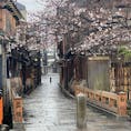 祇園白川巽橋
2021年3月21日雨の祇園白川の桜咲く頃ですが、今はコロナ禍で見て下さい、猫の子一匹居ないとは此の事ですね、突き当たりは京都のメイン通りの四条です、此の道は「切りどうし」ですね♪
祇園でも屈指の観光地です。
それがこんな光景です。

#サント船長の写真 #全国橋巡り　#京都　#巽橋