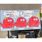 #愛知
#日間賀島