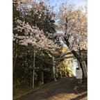 高石神社
2021/3/24
#神奈川