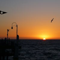 サンタモニカ(カリフォルニア)

桟橋から、沈みゆく太陽を惜しむひととき。サンタモニカ・ピア(Santa Monica Pier)にて。

多くの人に親しまれているこの桟橋。元々は、処理された下水を海へ放出するため、橋の下にパイプを通す形で、1909年に市が必要に迫られて作った街のインフラの一つ(幸い、1920年代には取りやめに)。

この地特有の気象条件に耐えられるよう、木造ではなく、新たなテクノロジーを導入した西海岸初のコンクリート製の橋だったため、オープニング・セレモニーは多くの人で沸いたそう。

地元コミュニティにとって桟橋は一躍話題のスポットになり、老若男女問わず、こぞって釣り糸を垂らす風景が日常に。伝説の巨大なブラック・シーバスが釣れると人気だった。

やがて時は大恐慌時代。1925年、元・水夫のオラフ・オルセンは、桟橋に降り立つやいなや引退を撤回し、レクリエーション用のフィッシング・ボートで漁船団を組んだ。

真のヒーローであるオラフは、商業用の大きな魚網も難なく操り、釣果の一部を食料を必要としている家庭に無償で提供。

このオラフがどうなったかと言うと。桟橋の常連で、執筆中の連載作品シンブル・シアター(Thimble Theater)に必要なヒーローを探していた漫画家、エルジー・クリスラー・シーガーの目に留まり、彼なりの解釈で描いた「水夫のポパイ(Popeye the Sailor Man)」として1929年から世に登場。

後はポップ・カルチャーの歴史でも知られている通りで、そんな人気キャラクター発祥の地でもあるよう。

#santamonicapier #california #popeye #sunset