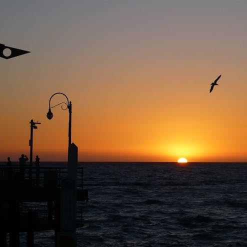 サンタモニカ ピア Santa Monica Pier の投稿写真 感想 みどころ サンタモニカ カリフォルニア 桟橋から 沈みゆく太陽を惜 トリップノート サンタモニカ ピア Santa Monica Pier の投稿写真 感想 みどころ サンタモニカ カリフォルニア 桟橋から 沈みゆく太陽を惜 トリップノート