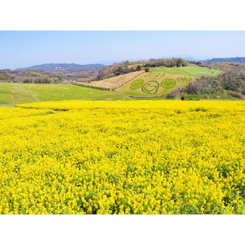 あわじ花さじき