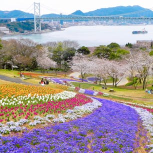 山口県下関市
火の山公園
関門海峡を見下ろすこの場所は春にはこの景色が広がります。