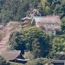 22年 宝厳寺 ほうごんじ はどんなところ 周辺のみどころ 人気スポットも紹介します