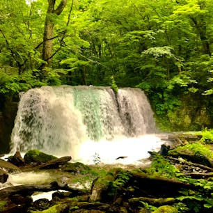 奥入瀬渓谷

#奥入瀬渓谷 #青森県