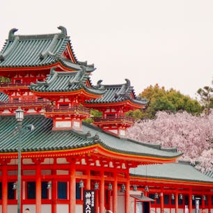 京都
平安神宮
この写真は今年のものではありませんが、紅枝垂れ桜もまもなく満開になるのではないでしょうか。