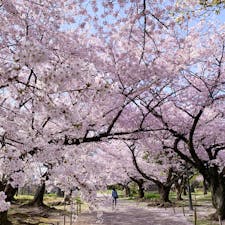 舞鶴公園(福岡)