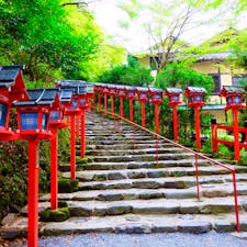 京都府京都市左京区@貴船神社
真っ赤な灯籠が綺麗。