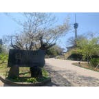 日本平
#202103 #s静岡