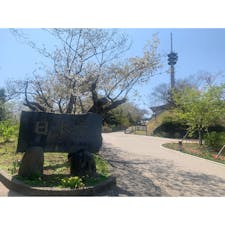 日本平
#202103 #s静岡