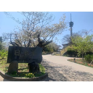 日本平
#202103 #s静岡