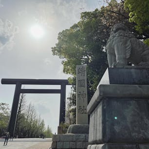 靖国神社⛩

入り口から迫力に圧倒された…！！
桜に癒されながら参拝。