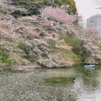 千代田区立　九段坂公園🌸

お花見しなくても桜を楽しめる✨
ボートがまた絵になる😳
