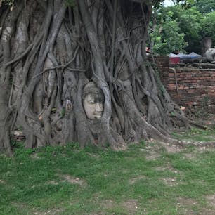 アユタヤのマット・マハタート