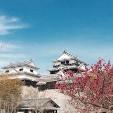 愛媛 松山城