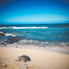 ハワイ ハワイ島