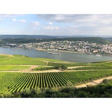 リューデスハイム（ドイツ）
眼下にはライン川とワイン畑。
#nofilter