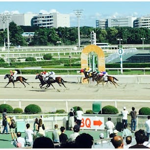 東京 大井競馬場🇯🇵