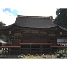 日吉大社　屋根の形が独特です。
