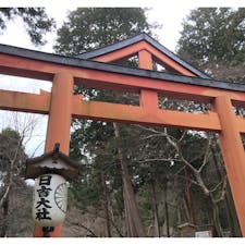 日吉大社　鳥居の形も独特です。