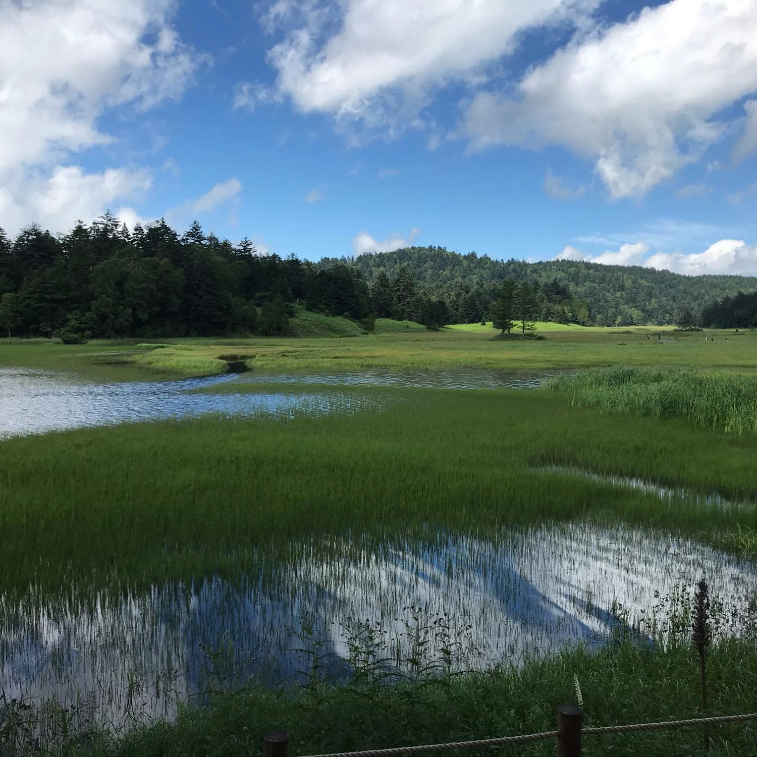 尾瀬の投稿写真 感想 みどころ 尾瀬ハイキング行き帰りは山登り多少あり景色は絶景です トリップノート