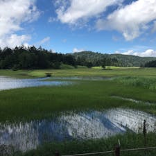 尾瀬ハイキング
行き帰りは山登り多少あり
景色は絶景です