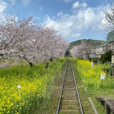 小湊鉄道に乗って来ました。