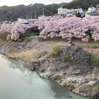 高遠城址公園の下です。