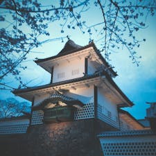 #石川県 #金沢 #金沢城 #夜桜