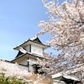 #石川県 #金沢 #金沢城 #満開の桜

金沢城と兼六園の下の歩道から撮りました。
桜とお城のコントラストがとってもキレイで、穴場スポットだと思います🌸