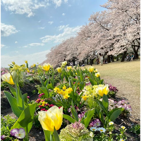 富山県中央植物園