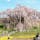 日本三大桜。滝桜。
いつからなのか、1人300円の入場料がかかるようになりました。桜の保存のために使われるんだとか。