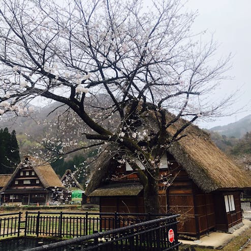 五箇山 菅沼合掌造り集落