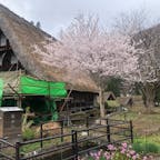 2021.4.4
菅沼合掌集落