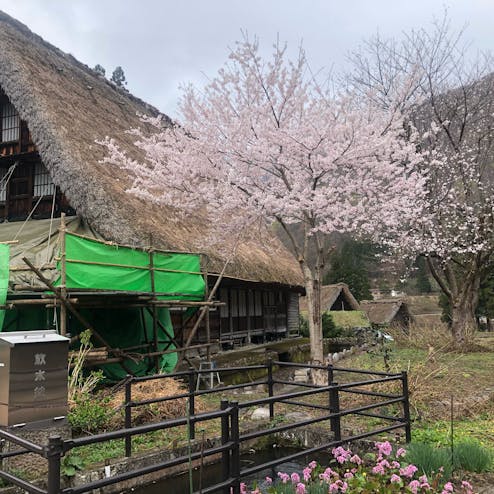 五箇山 菅沼合掌造り集落