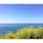 ゴリータ(カリフォルニア)

碧い海と菜の花のコントラストが爽やかな、セントラル・コーストの春の景色。

1号線のアロヨ・ホンド・ビスタ・ポイント(Arroyo Hondo Vista Point)からの眺め。

#goleta #california #canolaflower