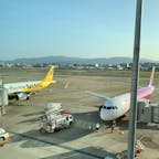 福岡空港
バニラエアデザインのpeach
まんまのpeach