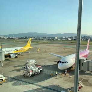 福岡空港
バニラエアデザインのpeach
まんまのpeach