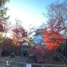 いつかの秋、いつかの岡崎城。🏯🍁

#岡崎#Okazaki#名古屋#秋
#岡崎城#Okazakicastle