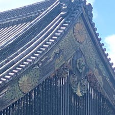 二条城ニの丸御殿の外壁
此の外壁はまだ台風で飛ぶ前の写真ですね。

#サント船長の写真　#日本の城 #京都
#お城巡り　#城跡