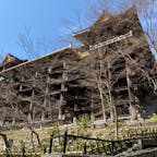 清水寺の舞台　(京都)

現在の建物は、徳川家光の寄進により１６３３年（寛永１０年）に再建されたもので国宝。
　正面３６メートル強、側面約３０メートル、棟高２８メートルの大堂です。

その堂内前に舞台が有りますが、創建当時は舞台は無く、本堂だけでした。
清水寺は参拝者が多くて手狭になり広げてました、その部分が舞台です。

「清水の舞台から飛び降りる」は江戸時代ごろから言われた様で、飛び降りて命が有れば、願いは成就されると言われた様です。
今は、何か高価な物を買う時、何かを思い切る時に
使われて居ますね、

しかし実際に飛び降りる方はいたのか？
記録では234人の方が飛び降りました、そして34人の方が帰らぬ人に、何と生存率80%以上ですね、但し今より樹木が多く木に引っ掛かり助かる人も多いようです。
しかし60才以上の方は全員死亡されて居ます。

#サント船長の写真　#京都 #世界遺産　#西国霊場札所巡り　#全国神社仏閣巡り