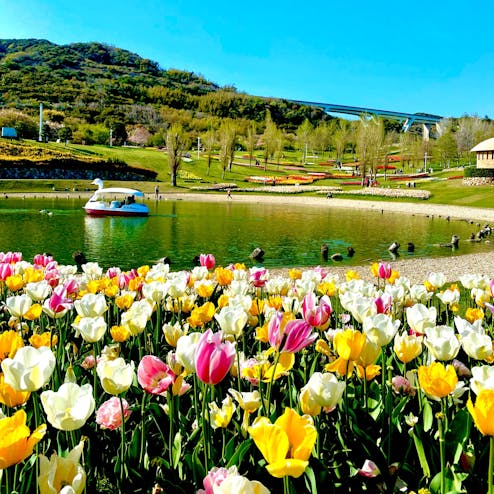 淡路島国営明石海峡公園