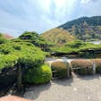 善峯寺
天然記念物　遊龍の松

#サント船長の写真　#京都