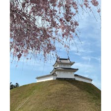 宇都宮城址公園。
少し桜が残ってました🌸