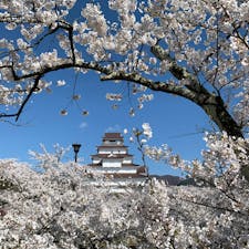 福島県鶴ヶ城。
別のアングルからも良いのが撮れたので載せます。