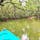 奄美大島、黒潮の森マングローブパークのカヌーツアー

#マングローブ #奄美大島 #鹿児島県